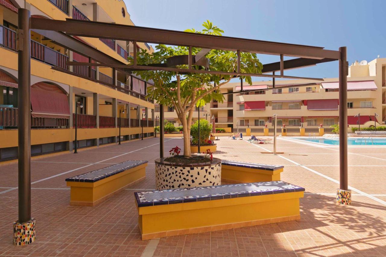 Tenerife mejor clima, sitio privilegiado Puerto de Santiago  Exterior foto